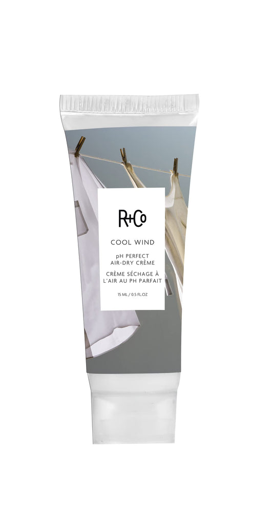 R+Co Cool Wind pH Perfect Air Dry Hair Cream | Hydrates + Tames + Softens | Vegan + Cruelty-Free |