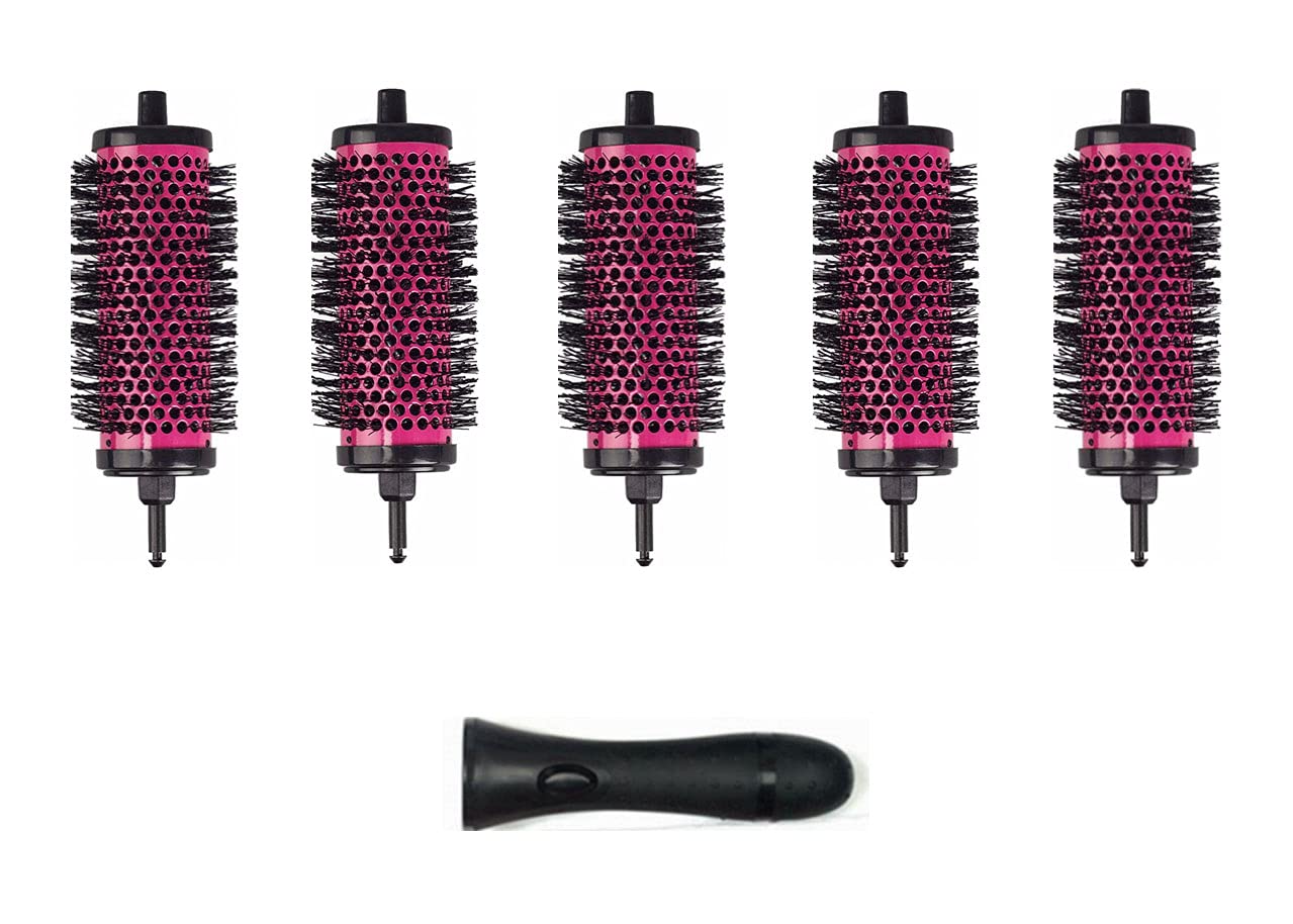 LIGICKY Blowout Brush Set with 2.0'' Detachable Barrels Round Brushes Hair Styling Tool, 1 Handle 5 Barrels, Medium
